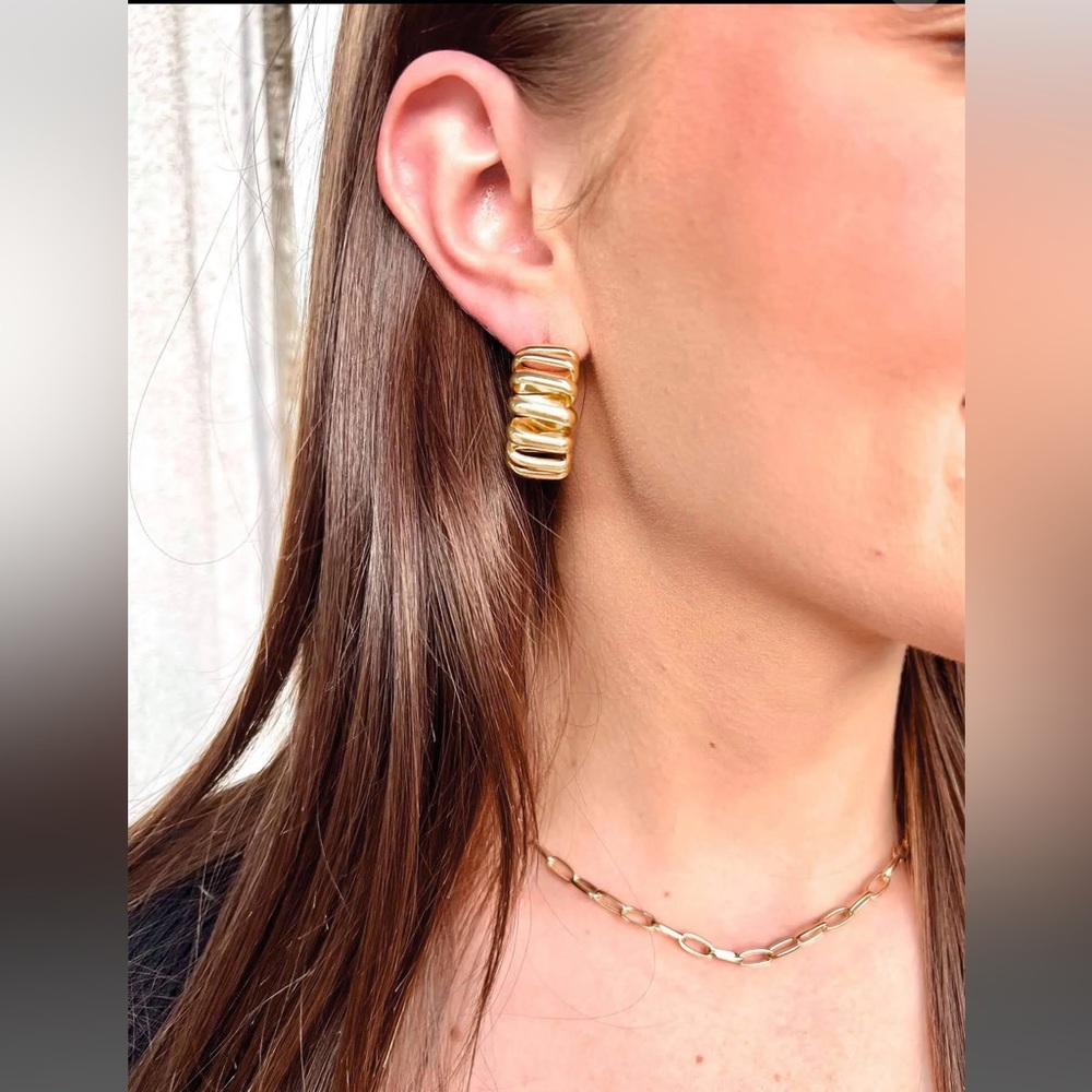 Bracha Hold the Phone Loot Earrings Hoops